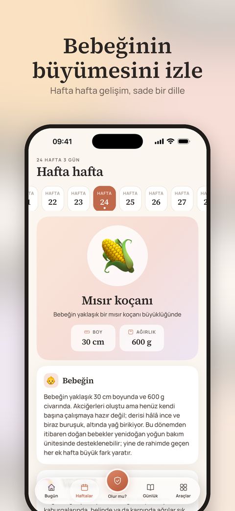 Marigold uygulama ekranı
